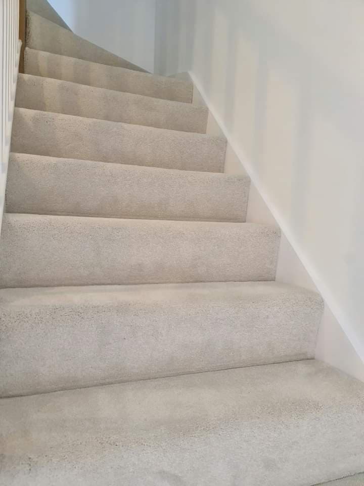 Carpeted Stairs